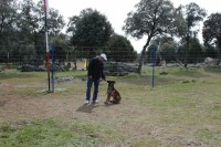 /album/fotogaleria/zapi-training-jpeg/